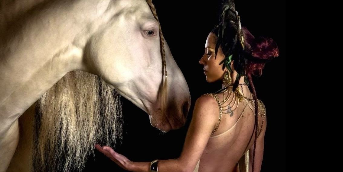 Cesenatico, a Druidia con il Teatro Equestre Zebre
