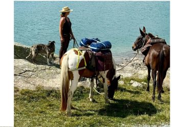 C’erano una ricercatrice, una cavalla, una mula e un cane…