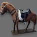 Paul, il pony d’altri tempi