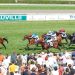Sajir e Oisin Murphy sbancano Deauville