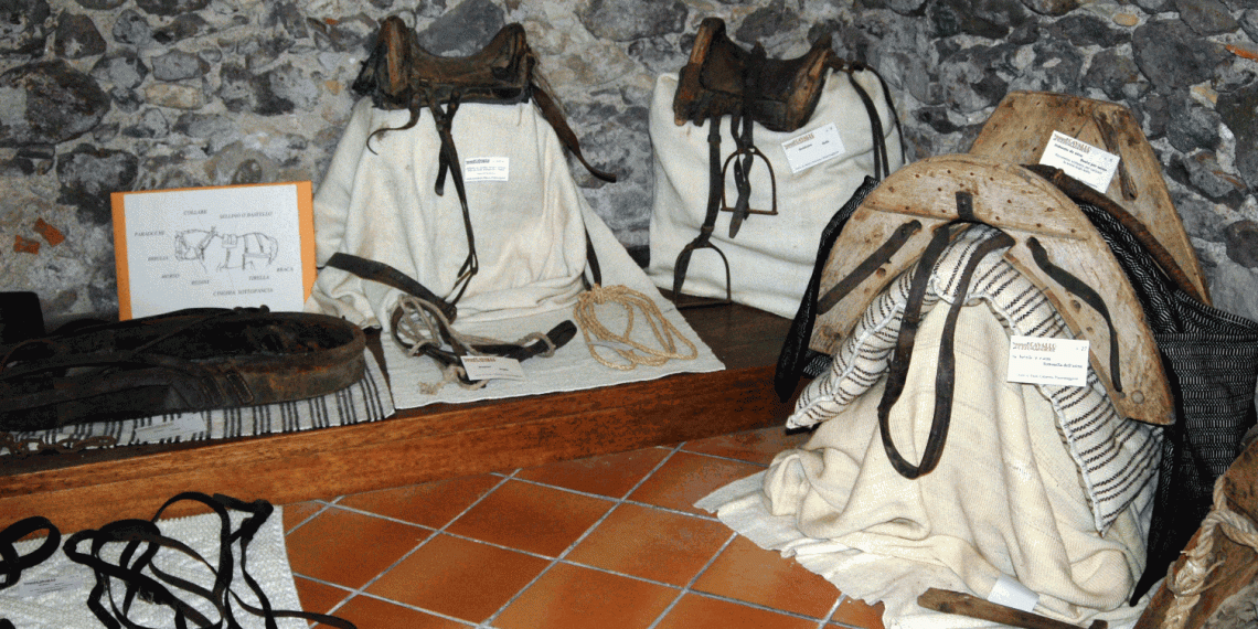 Sardegna,  Pozzomaggiore ha di nuovo il suo Museo del Cavallo
