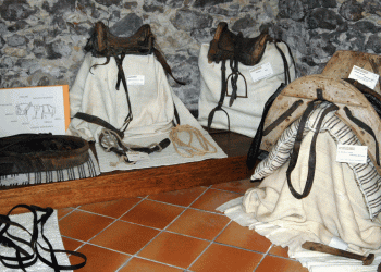 Sardegna,  Pozzomaggiore ha di nuovo il suo Museo del Cavallo