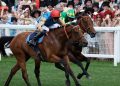 La grande ippica fa scalo a Deauville