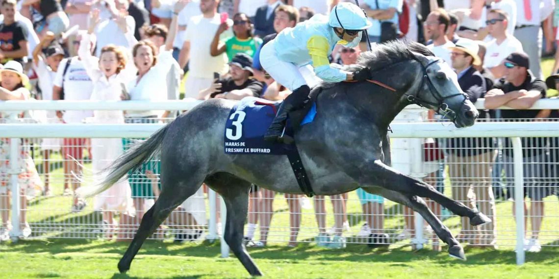 L’eccellenza è in pista a Deauville