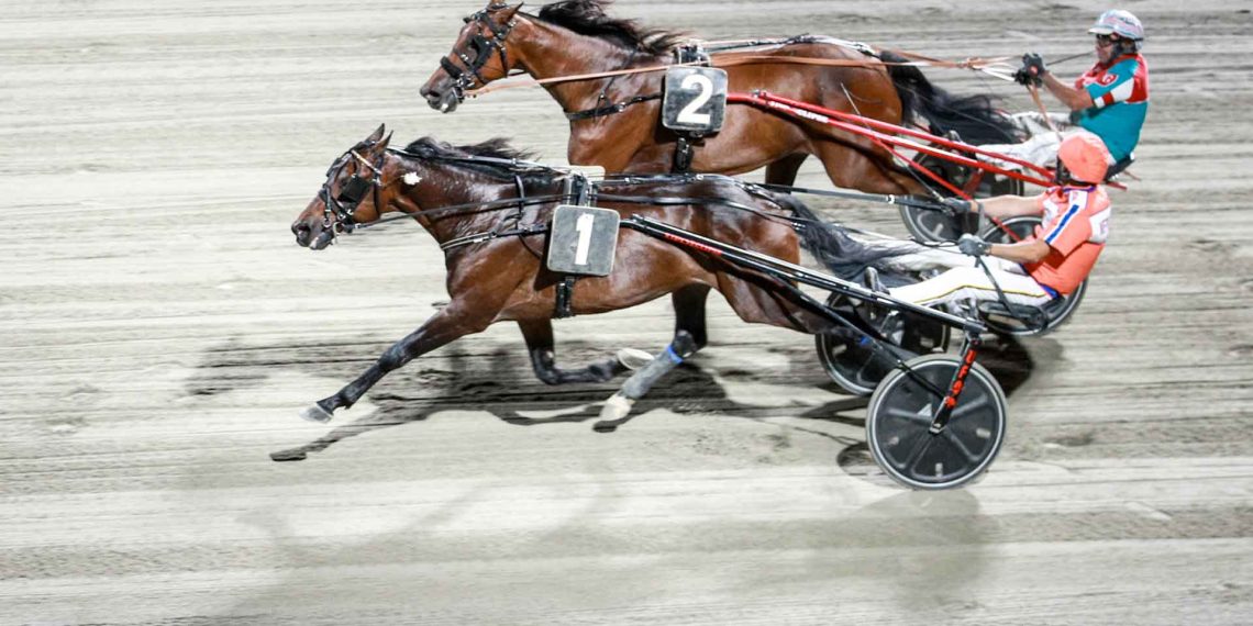 Spettacolo a Cesena con l’Europeo di Trotto e la finale del Circuito Nazionale Driver