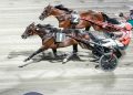 Spettacolo a Cesena con l’Europeo di Trotto e la finale del Circuito Nazionale Driver