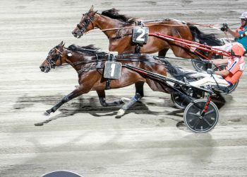 Spettacolo a Cesena con l’Europeo di Trotto e la finale del Circuito Nazionale Driver