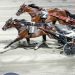 Spettacolo a Cesena con l’Europeo di Trotto e la finale del Circuito Nazionale Driver