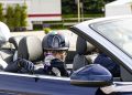 Ermelo: si festeggia dall’inizio