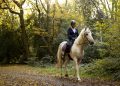Guillaume Henry, parte seconda: equitazione e dibattito ecologico