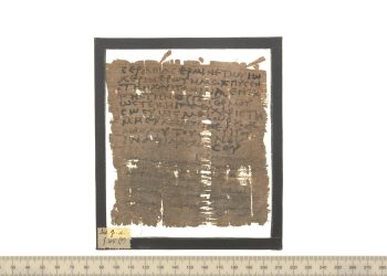 Mamme, suocere e asini: dall’Egitto di 1800 anni fa ad oggi cambia poco…