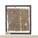 Mamme, suocere e asini: dall’Egitto di 1800 anni fa ad oggi cambia poco…