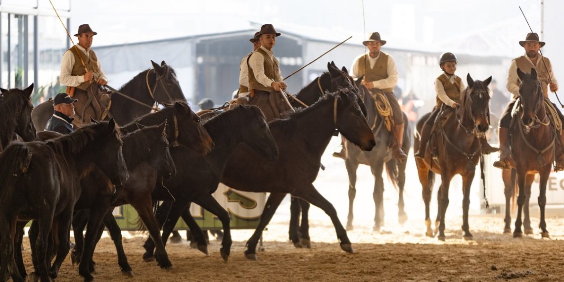 Fieracavalli 2025: la biglietteria è aperta!