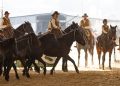 Fieracavalli 2025: la biglietteria è aperta!