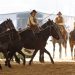 Fieracavalli 2025: la biglietteria è aperta!