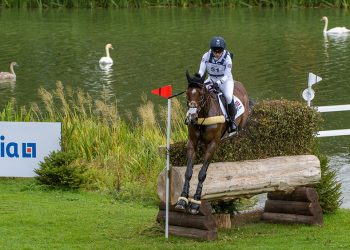 Blenheim: un cross davvero appassionante
