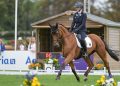 La Germania conduce a Blenheim