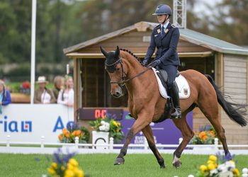 La Germania conduce a Blenheim