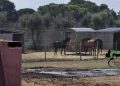 Lecce, ASD che gestisce strutture fuori regola nella…vasca dei reflui