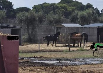 Lecce, ASD che gestisce strutture fuori regola nella…vasca dei reflui