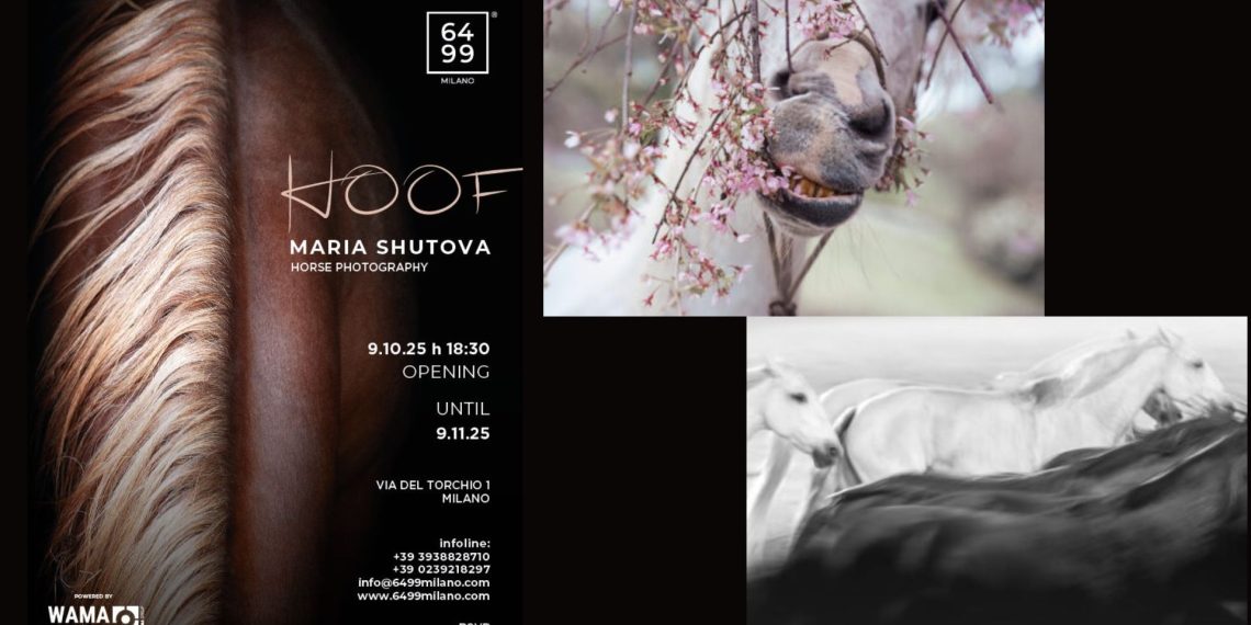 HOOF di Maria Shutova alla 6499 Art Gallery