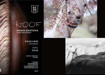 HOOF di Maria Shutova alla 6499 Art Gallery
