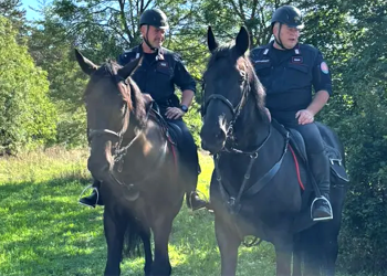 A cavallo sul Carso
