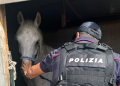 Catania: coca, cavalli e degrado
