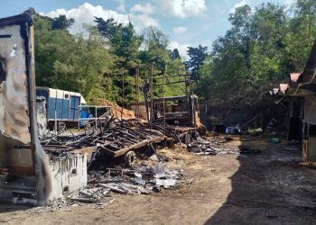 Tragedia: in fiamme la scuderia di Paolo Adorno