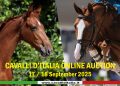 Cavalli d’Italia Online Auction 2025