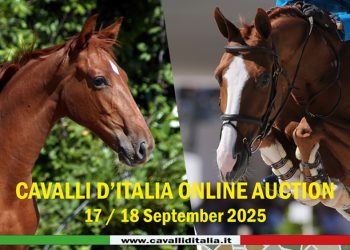 Cavalli d’Italia Online Auction 2025