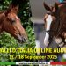 Cavalli d’Italia Online Auction 2025