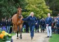17 bandiere su Blenheim Palace