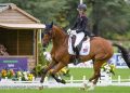 Blenheim: highlights a bordo campo