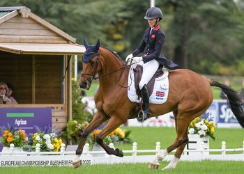 Blenheim: highlights a bordo campo