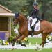 Blenheim: highlights a bordo campo