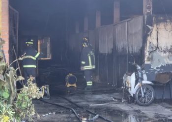 Sardegna, a fuoco le scuderie dell’Horse Country Resort: morti un cane e sette cavalli