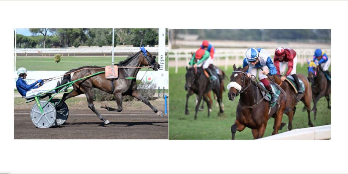 Trotto e galoppo, un bellissimo weekend romano