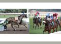 Trotto e galoppo, un bellissimo weekend romano