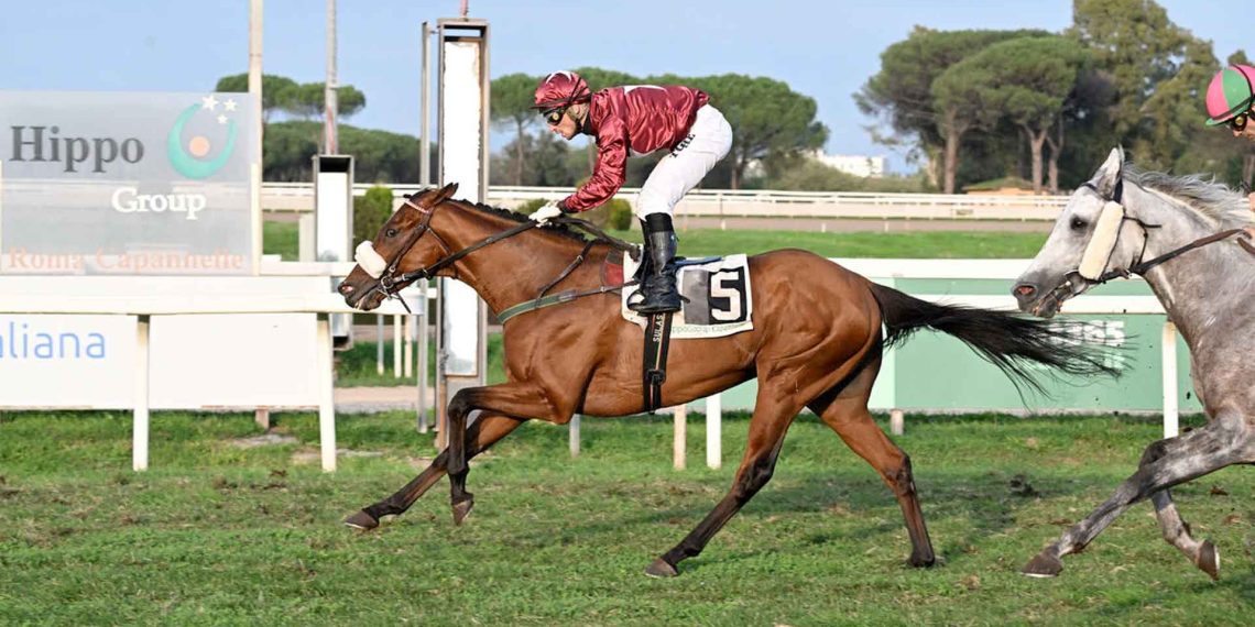 Roma riapre e torna Mr Darcy