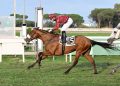Roma riapre e torna Mr Darcy
