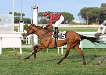 Roma riapre e torna Mr Darcy