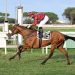 Roma riapre e torna Mr Darcy