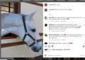 Viktorija Mihajlovich e Zaros:  a volte si ritrovano