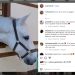 Viktorija Mihajlovich e Zaros:  a volte si ritrovano