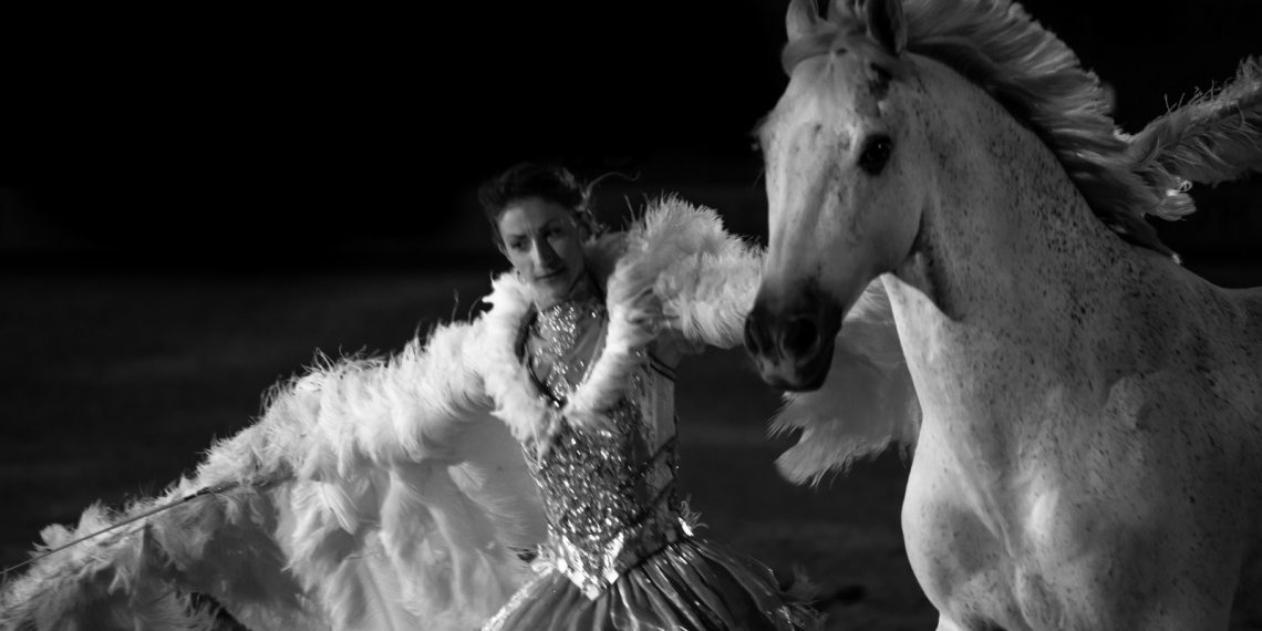 Il cavallo diventa arte: il Forum ICASTE illumina Fieracavalli