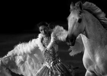 Il cavallo diventa arte: il Forum ICASTE illumina Fieracavalli