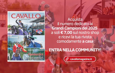 CM431 BANNER SITO CM