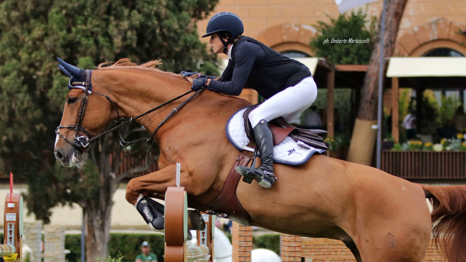 CSIO Roma Antonia Vita Pinardi su Los Angeles OK