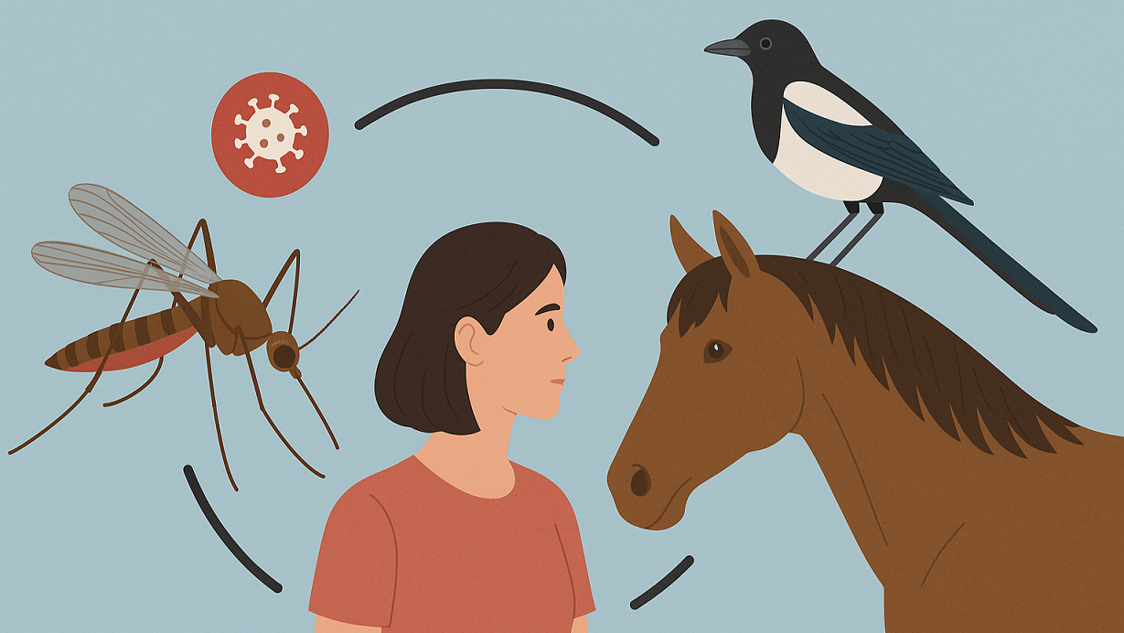 ChatGPT Image 29 ott 2025 11 20 47